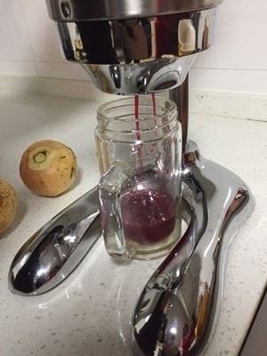 Manual Pomegranate Juice Machine