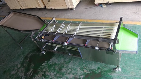 cherry sorting machine 1 cherry sorting machine 1