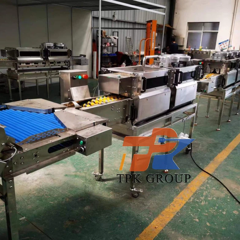 egg washing line3 1 egg washing line3 1